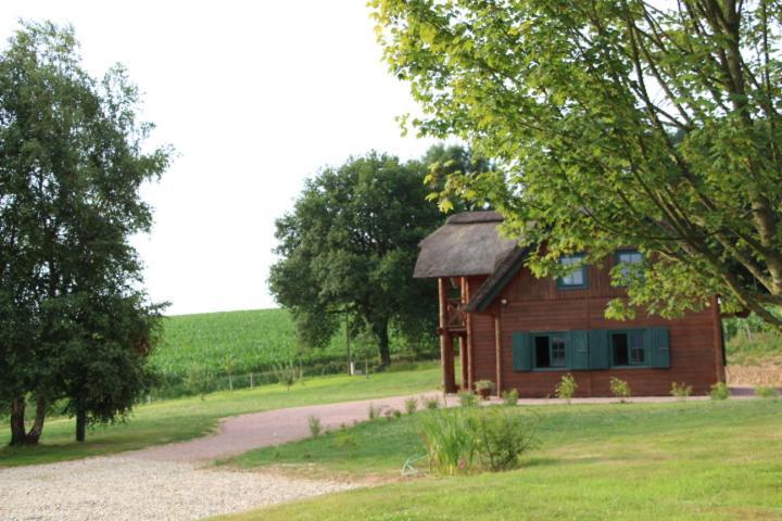 Chaumiere D'Albatre -Gite-Detente Nature Et Bien Etre Ourville-en-Caux Exterior foto
