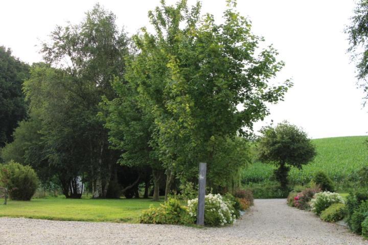 Chaumiere D'Albatre -Gite-Detente Nature Et Bien Etre Ourville-en-Caux Exterior foto